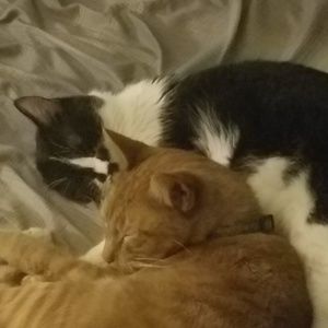 Meet your Posher, Genni